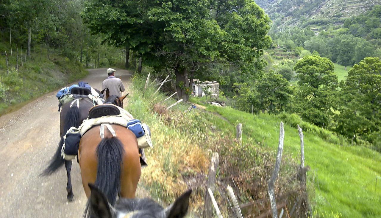 לינה וארוחת בוקר Trevélez Refugio Alpujarra Alta מראה חיצוני תמונה