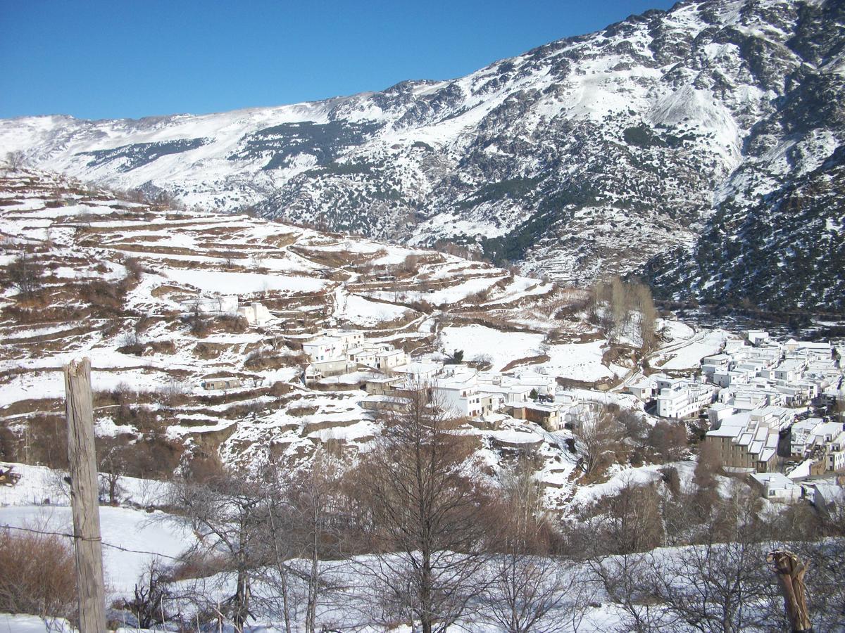 לינה וארוחת בוקר Trevélez Refugio Alpujarra Alta מראה חיצוני תמונה