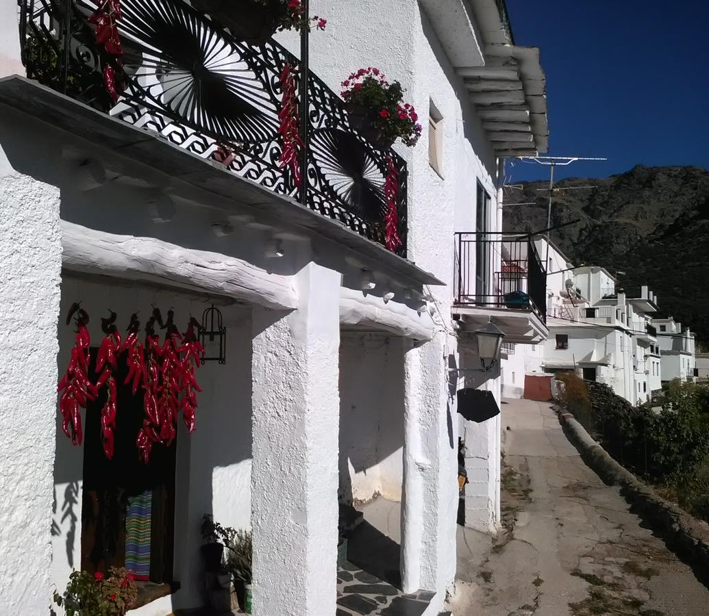 לינה וארוחת בוקר Trevélez Refugio Alpujarra Alta מראה חיצוני תמונה